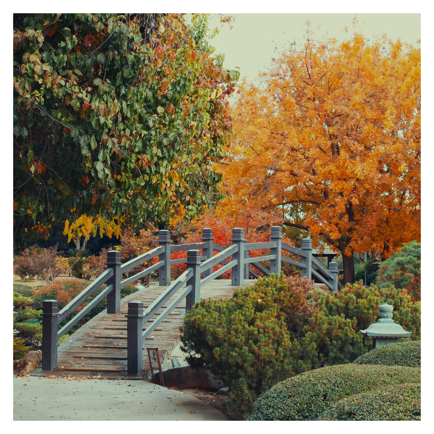 Top 12 Tips for Fall Gardening