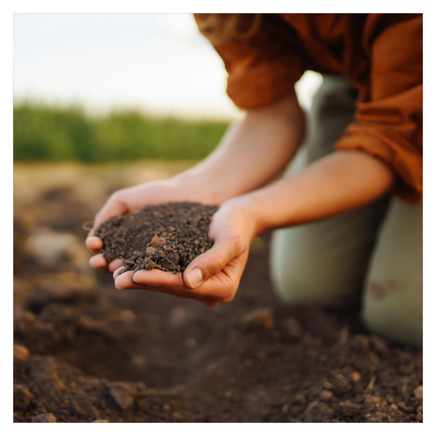 Amending Soils for Zone 4 Gardens: Tackling Sand and Clay