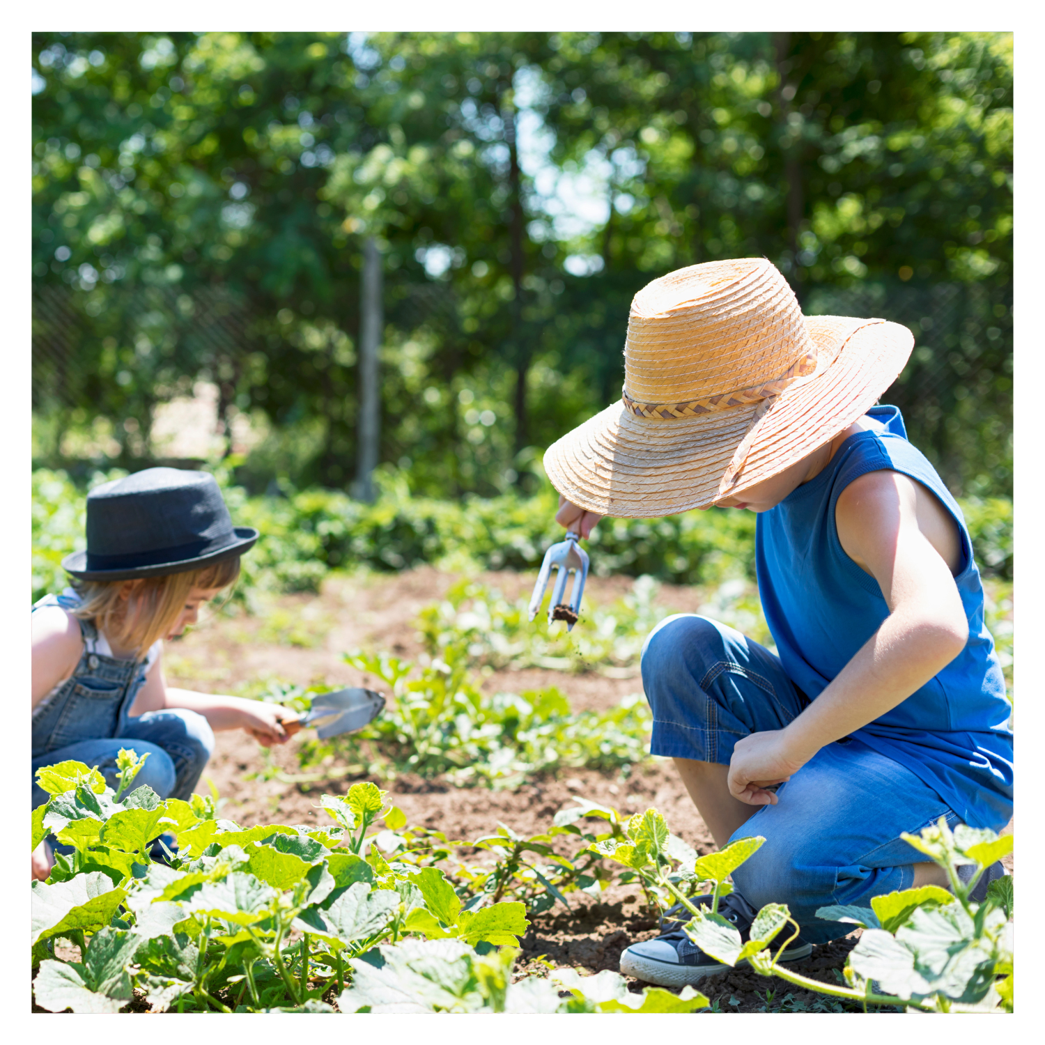 Growing Your Own Food: A Beginner’s Guide to a Thriving Garden