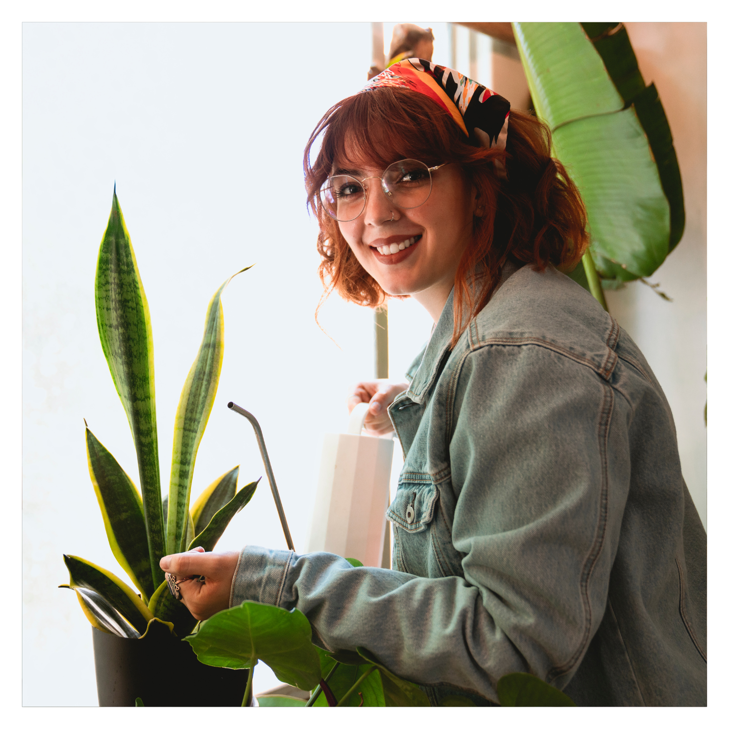 Caring for Houseplants and Managing Common Pests