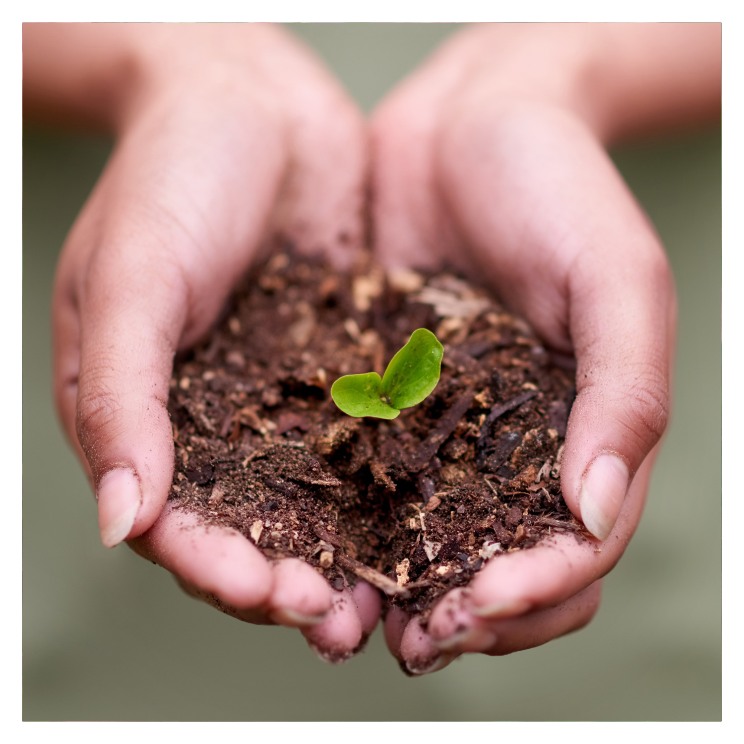 Preparing Your Garden for a Bountiful Season Ahead