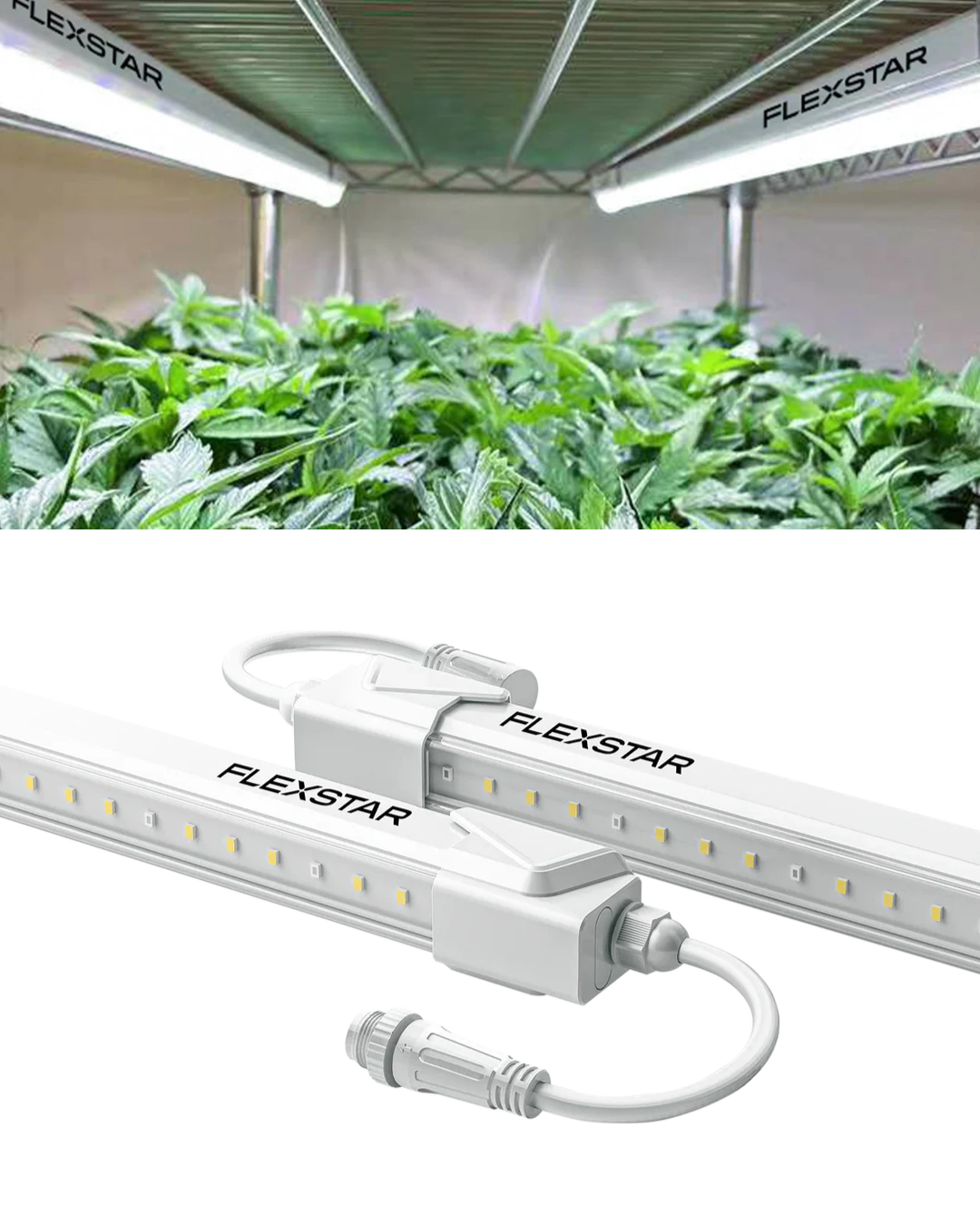 Flexstar Clone LED 18W 120-277V (2pcs/case)
