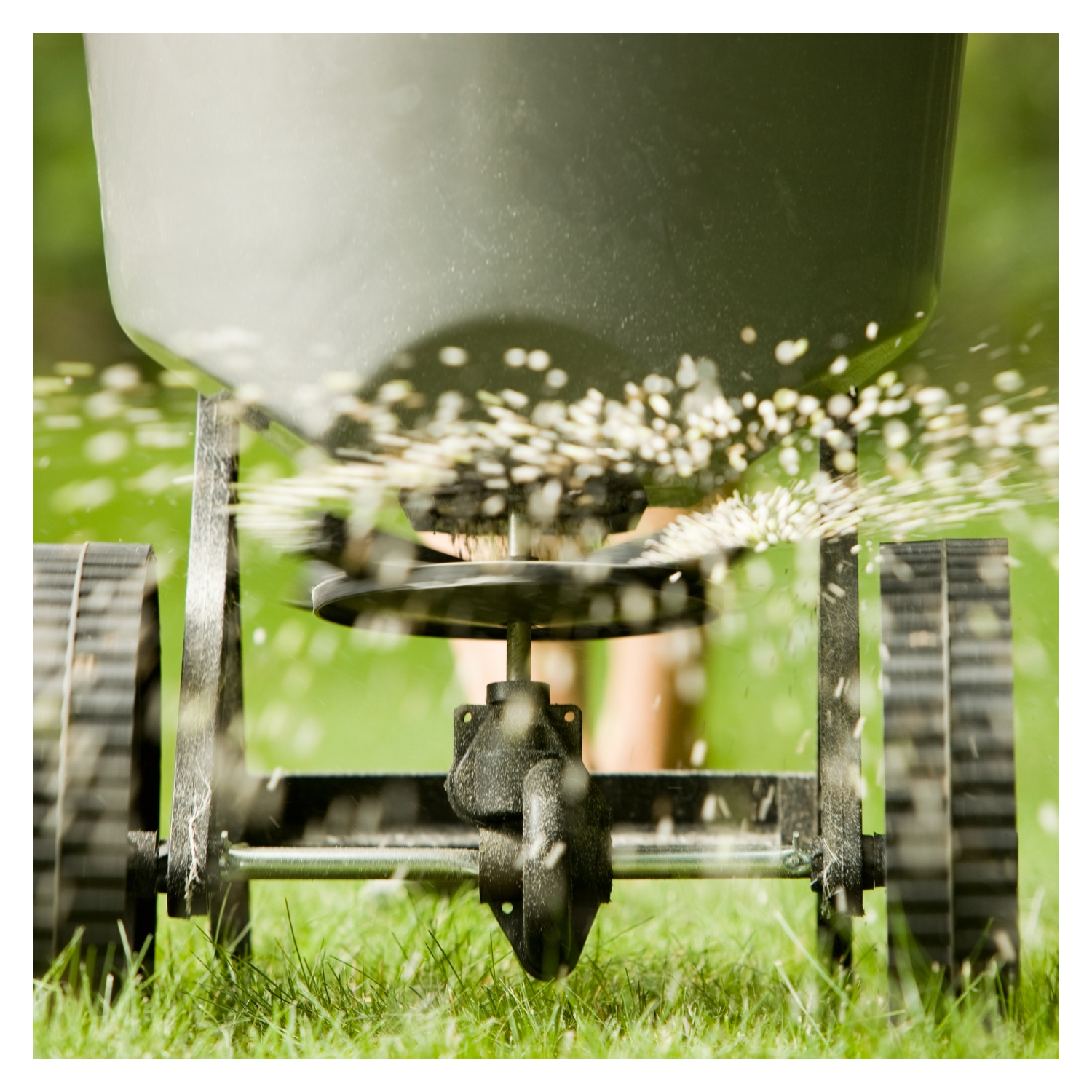The Great Fertilizer Debate: Natural vs. Synthetic