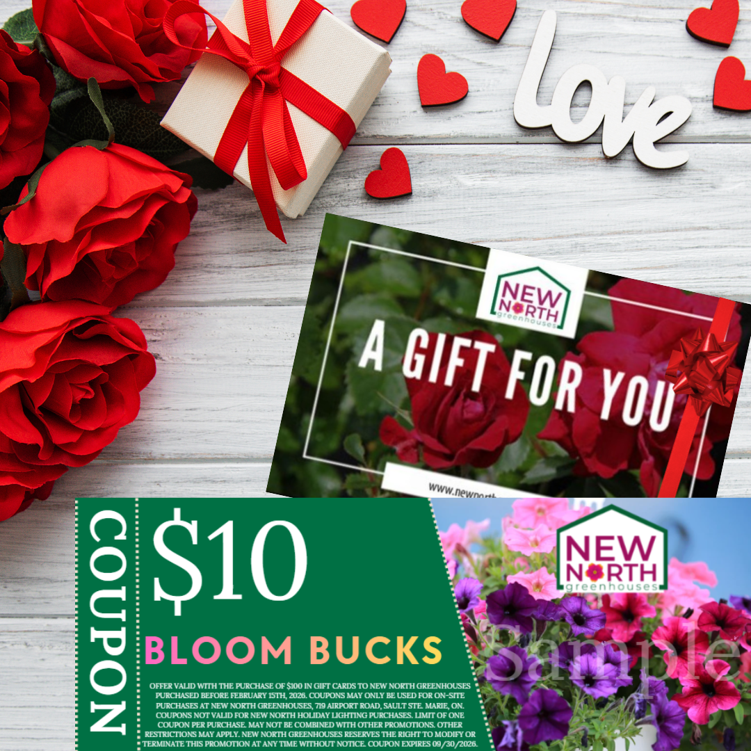 Gift Card - SWEET DEAL: Purchase $100, Get $10!